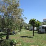 Camping Quinta Da Cerejeira - Bild 16 Camping Quinta Da Cerejeira - Bild 16