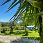 Camping Quinta Da Cerejeira - Bild 4 Camping Quinta Da Cerejeira - Bild 4