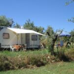 Camping Quinta Da Cerejeira - Bild 5 Camping Quinta Da Cerejeira - Bild 5