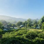 Camping Quinta Da Cerejeira - Bild 1 Camping Quinta Da Cerejeira - Bild 1