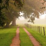 Camping Reine Mathilde - Bild 3