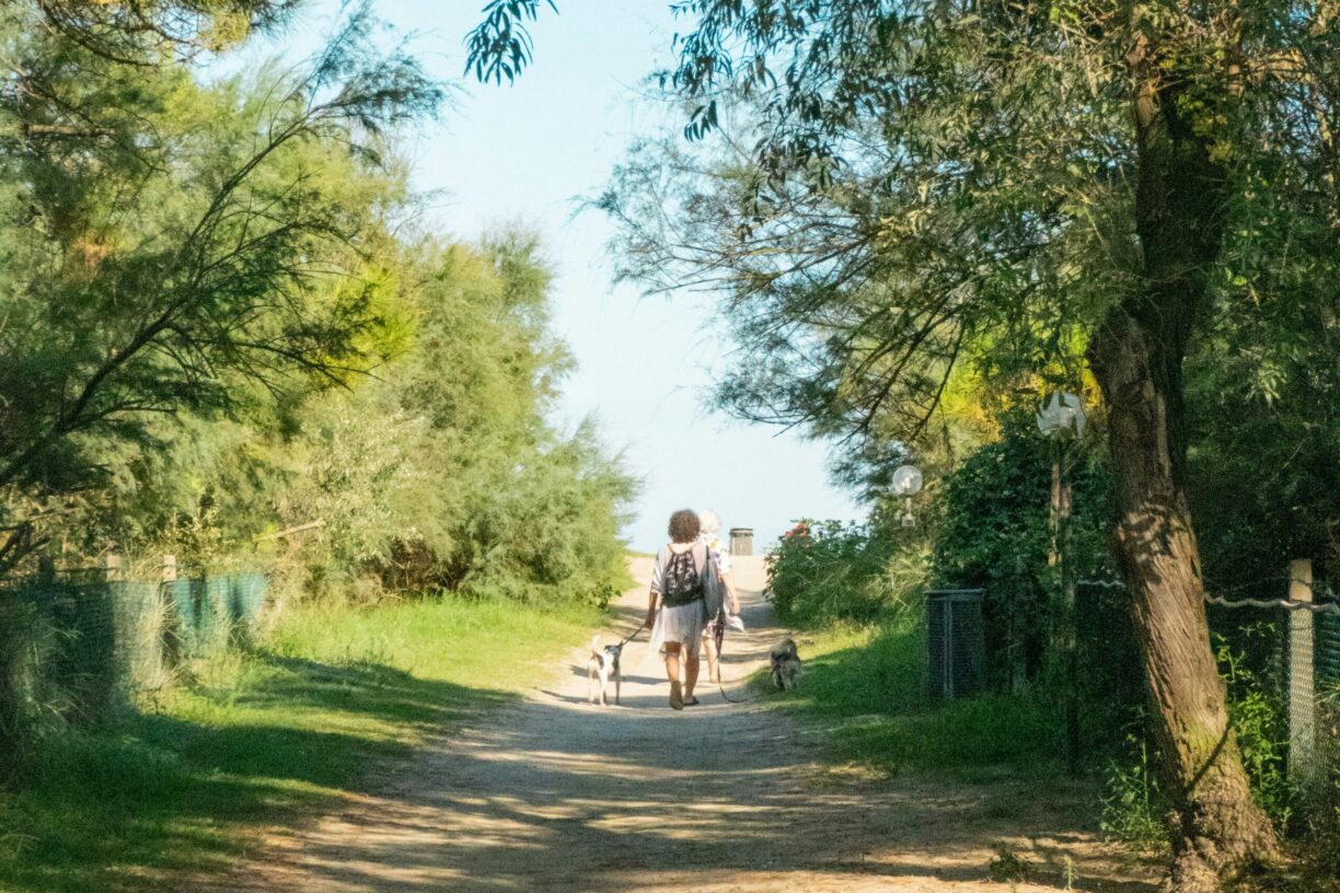 Camping Reno - Bild 3 Camping Reno - Bild 3