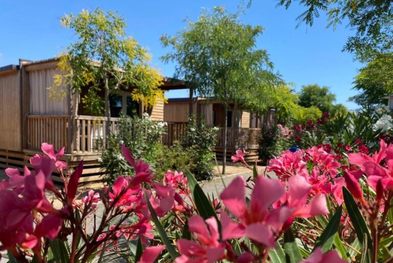 Camping Resort Els Pins - Bild 5