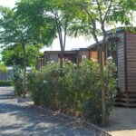 Camping Resort Els Pins - Bild 1