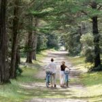 Camping Resort La Forêt - Bild 20 Camping Resort La Forêt - Bild 20