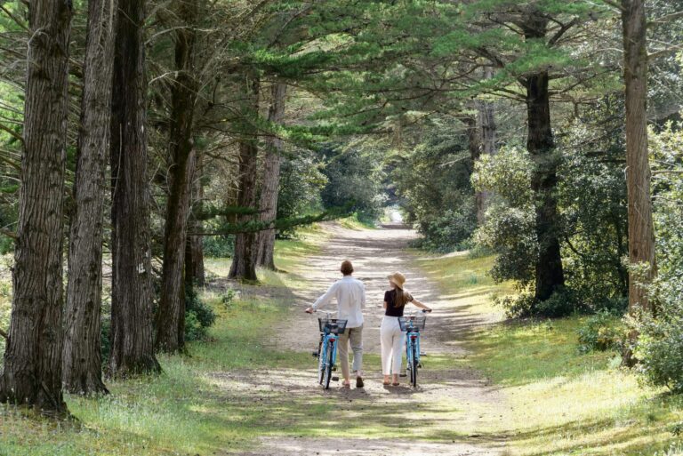 Camping Resort La Forêt - Bild 20 Camping Resort La Forêt - Bild 20