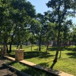 Camping Resort Micanovi Dvori - Bild 5