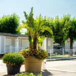 Camping Riembau - Bild 14