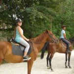 Camping Rio Verde - Bild 3