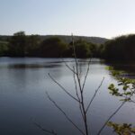 Camping Risle Et Seine - Bild 3 Camping Risle Et Seine - Bild 3