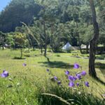 Camping River - Bild 3 Camping River - Bild 3