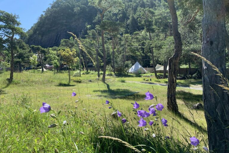 Camping River - Bild 3 Camping River - Bild 3