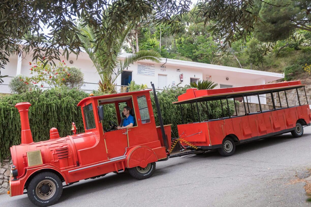 Camping Roca Grossa - Bild 16 Camping Roca Grossa - Bild 16