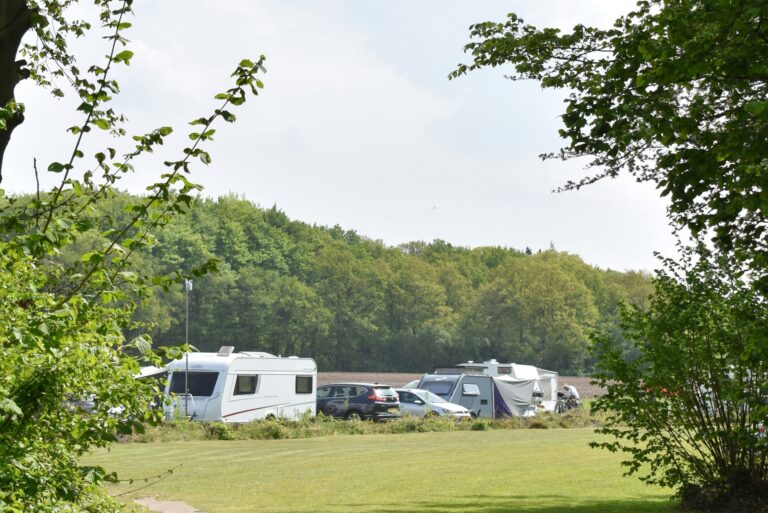Camping Roderveld - Bild 3