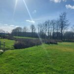 Camping Roderveld - Bild 5