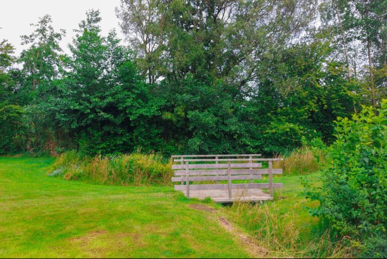 Camping Roderveld - Bild 6