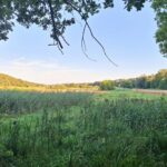 Camping Roderveld - Bild 7