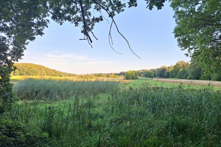 Camping Roderveld - Bild 7