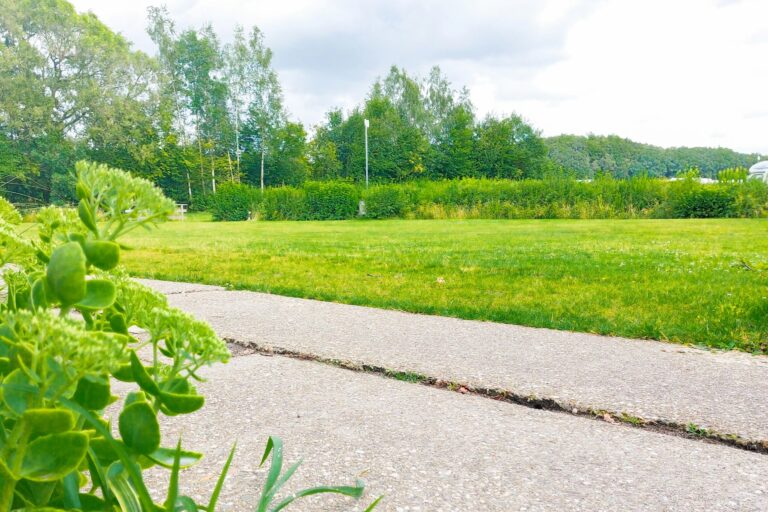 Camping Roderveld - Bild 8