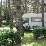 Camping Sabbiadoro - Bild 4