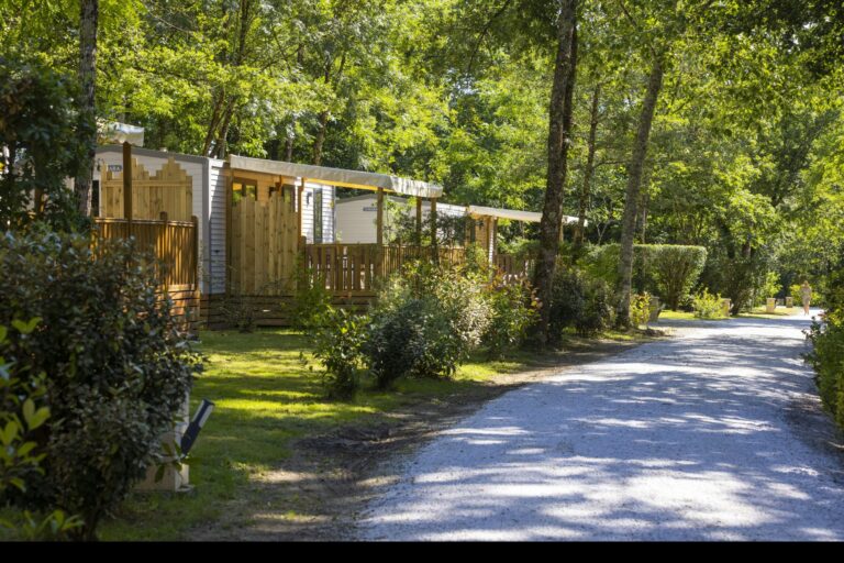 Camping Saint Pierre De Rousieux - Bild 3