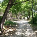 Camping Saint Sauvayre - Bild 1