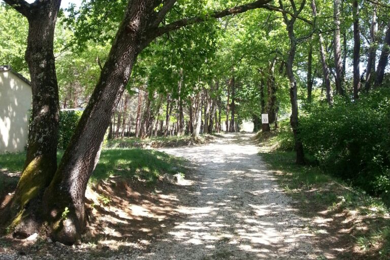 Camping Saint Sauvayre - Bild 1 Camping Saint Sauvayre - Bild 1