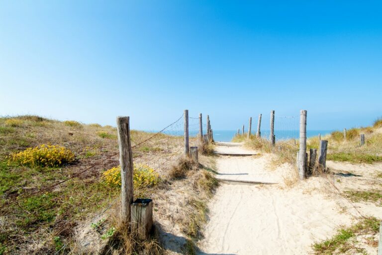 Camping Sandaya Domaine Le Midi - Bild 9