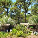 Camping Sandaya Le Truc Vert - Bild 4