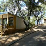 Camping Sandaya Plein Air Des Chênes - Bild 13