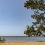 Camping Sandaya Sanguinet Plage - Bild 13