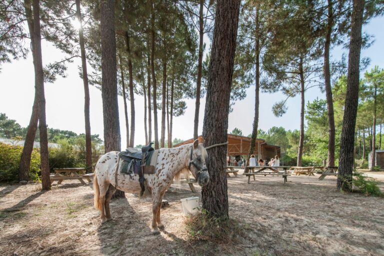 Camping Sandaya Soustons Village - Bild 16 Camping Sandaya Soustons Village - Bild 16