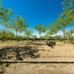 Camping Sandaya Valencia - Bild 18