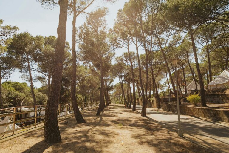 Camping Santa Elena - Bild 8