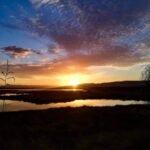 Camping S'ena Arrubia - Bild 14