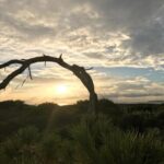 Camping S'ena Arrubia - Bild 16