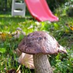 Camping Sauxillanges L'eau Mère - Bild 16