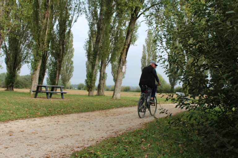 Camping Seasonova De Vesoul - Bild 11