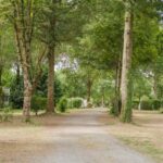 Camping Seasonova Du Chene - Bild 8 Camping Seasonova Du Chene - Bild 8