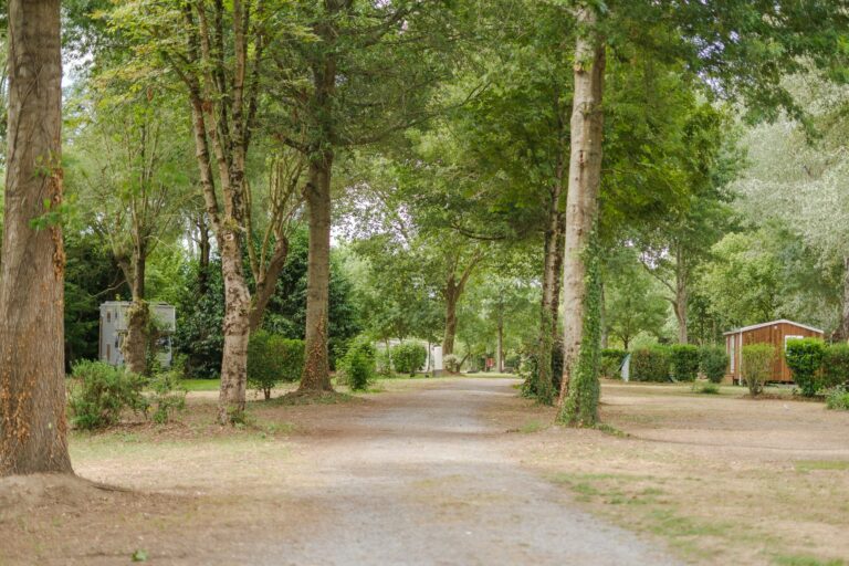 Camping Seasonova Du Chene - Bild 8 Camping Seasonova Du Chene - Bild 8