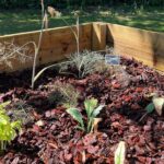 Camping Seasonova Etennemare - Bild 12