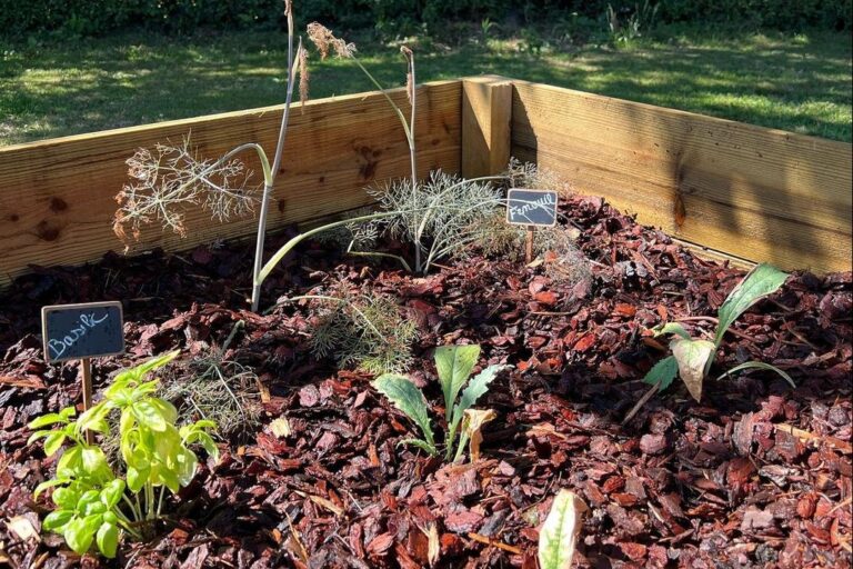 Camping Seasonova Etennemare - Bild 12