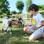 Camping Seasonova Haliotis - Bild 16 Camping Seasonova Haliotis - Bild 16