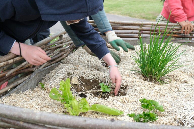 Camping Seasonova Ile De Ré - Bild 6