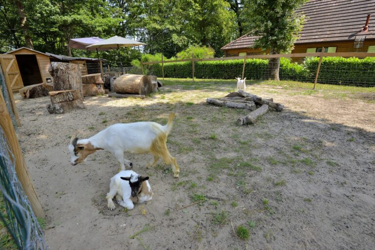 Camping Seasonova L'étang De La Vallée - Bild 7