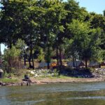 Camping Seasonova Les Plages De Loire - Bild 2