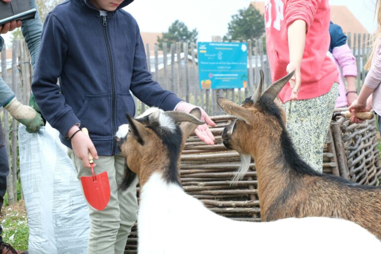 Camping Seasonova Saint-michel - Bild 8