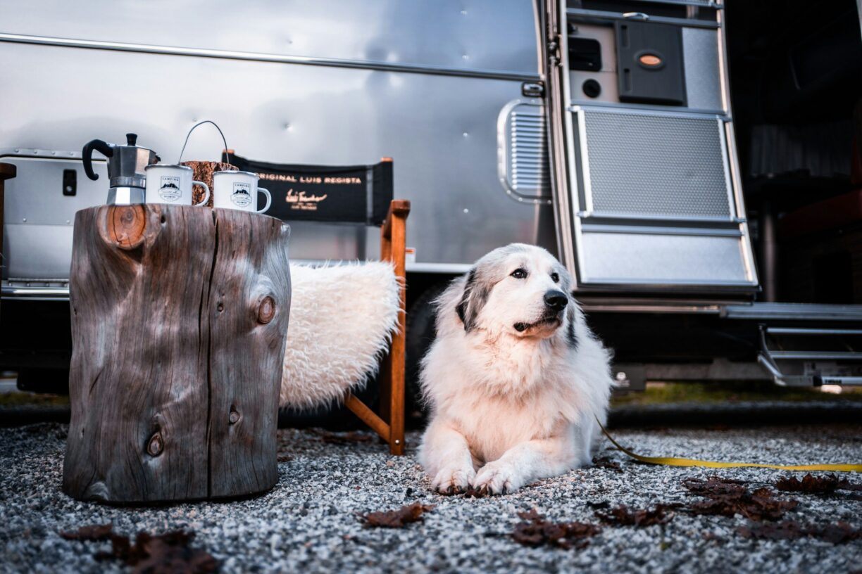 Camping Seiser Alm - Bild 20 Camping Seiser Alm - Bild 20