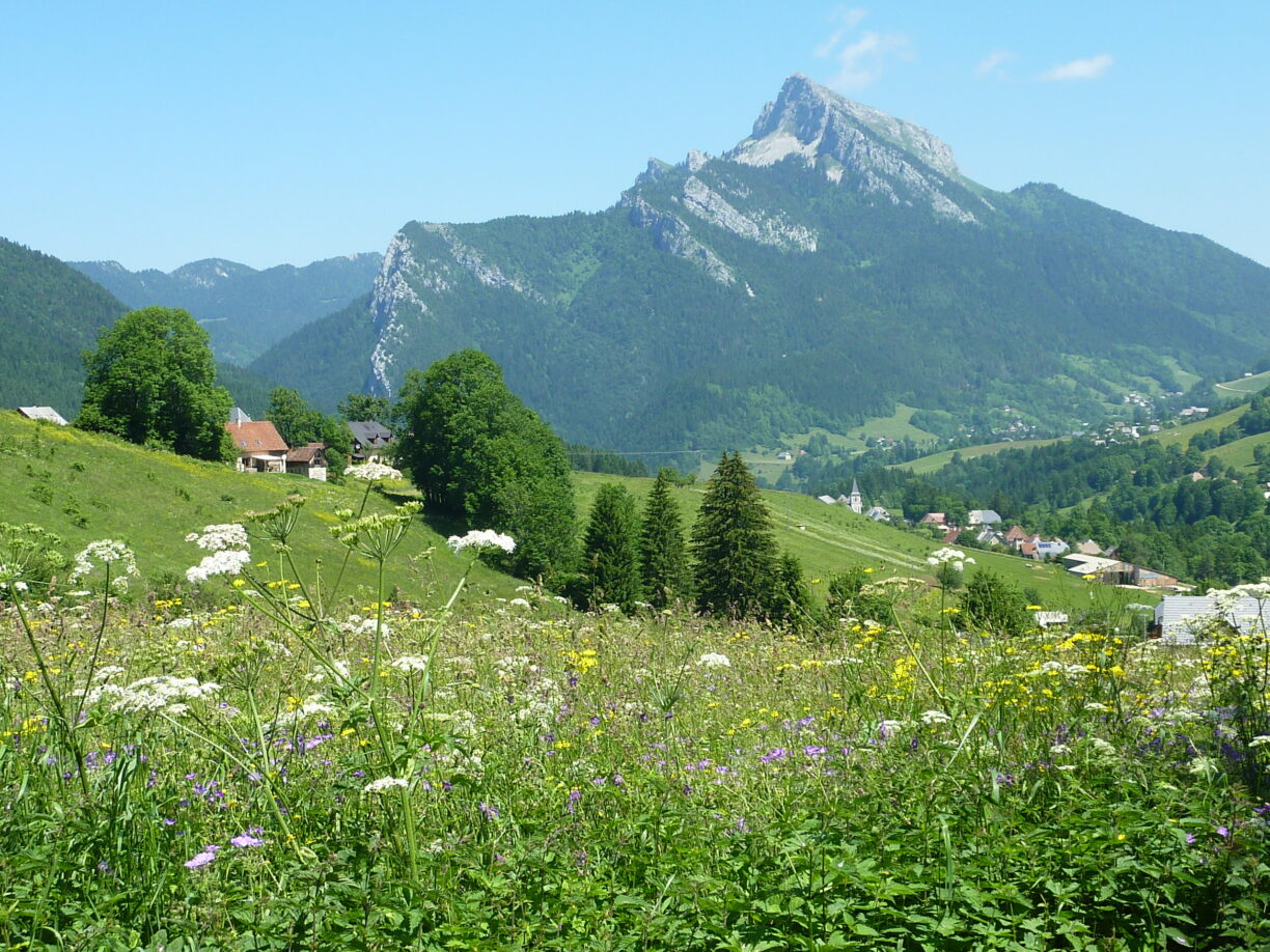 Camping Sites Et Paysages De Martinière - Bild 9 Camping Sites Et Paysages De Martinière - Bild 9