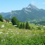 Camping Sites Et Paysages De Martinière - Bild 9 Camping Sites Et Paysages De Martinière - Bild 9